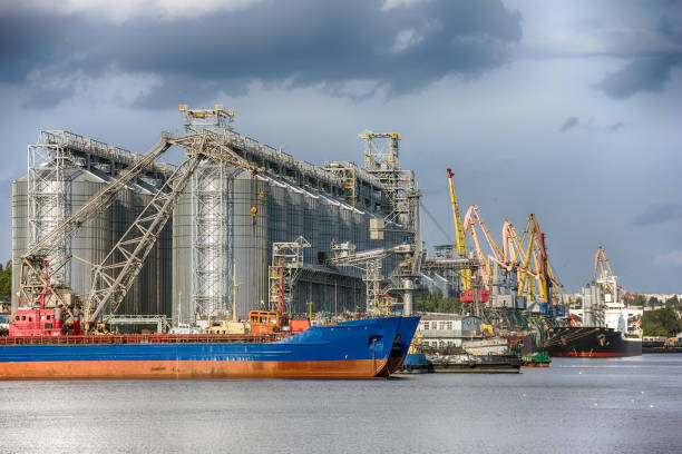 Elevating complex for transshipment of grain and oilseeds as part of a reloading terminal. Transportation of agricultural products and port cranes - Image stock photo