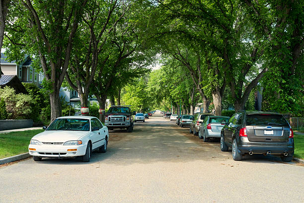 Elm Lined Street in Buena Vista Neighborhood in Saskatoon stock photo