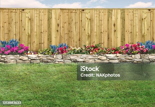 istock Empty backyard with green grass, wood fence and flowerbed 1313883633