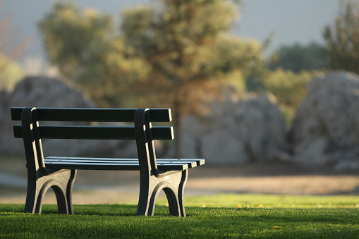An empty bench at the park with green grass, trees and rocks in the blurred background as evening falls.