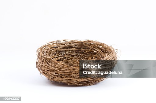 istock Empty bird nest on white background 499643337