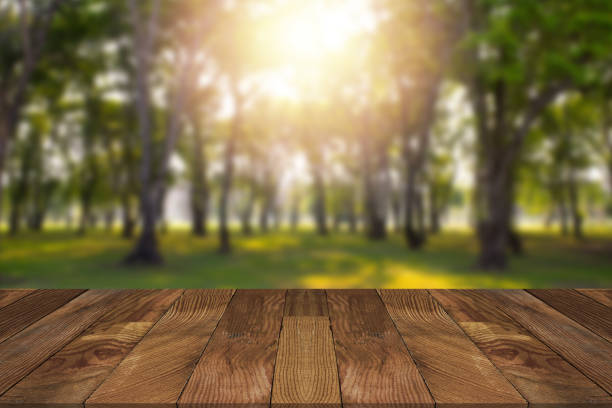 空の茶色の木製のテーブルと背景にぼやけフォレスト。 - wood table ストックフォトと画像