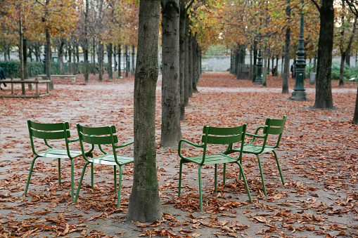 Empty Chairs in a Park