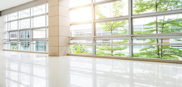 Empty corridor in modern office building with green tree outside the window stock photo