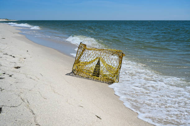 Empty Crab Pot on Shrinking Tangier Island Beach An empty yellow crab pot on deserted Tangier Island Beach in Virginia. The shrinking island has lost an average of 8 acres per year since 1850. The island, one of the most isolated communities in America, is disappearing as a result of climate change.  Population is now under 450. Estimates are that the island will be uninhabitable 50 years from now. tangier island stock pictures, royalty-free photos & images