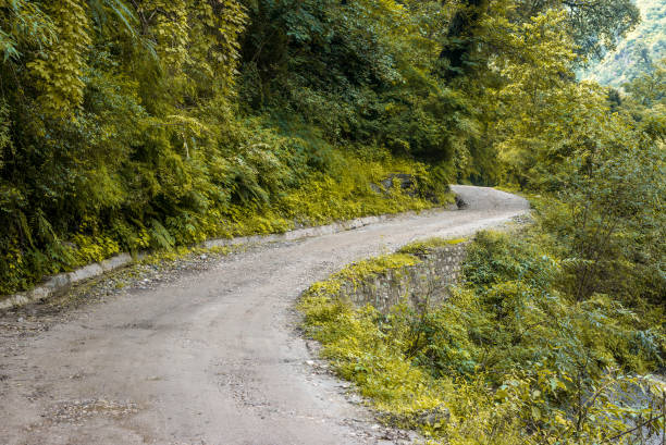 Empty Curvy Road in Mountain - Himachal, India Photo of Empty Curvy Road in Mountain - Himachal, India shimla stock pictures, royalty-free photos & images