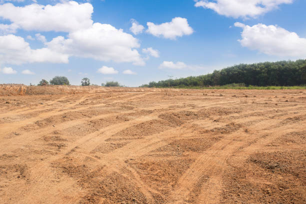 Empty dry cracked swamp reclamation soil, Empty dry cracked swamp reclamation soil, land plot for housing construction project with car tire print in rural area and beautiful blue sky with fresh air Land for sales landscape concept soil stock pictures, royalty-free photos & images