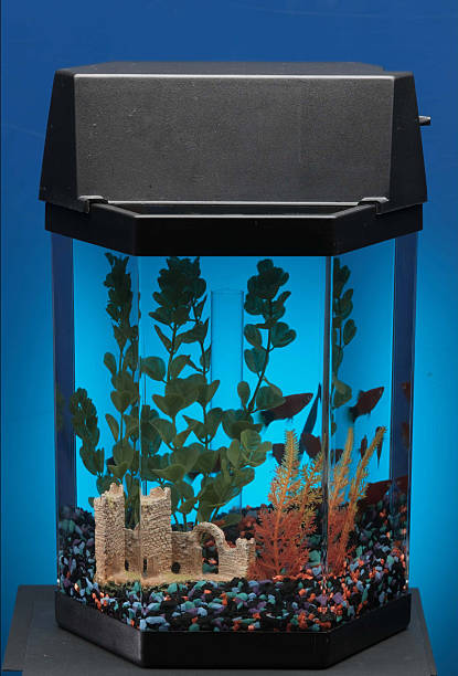 empty fish tank aquarium stock photo