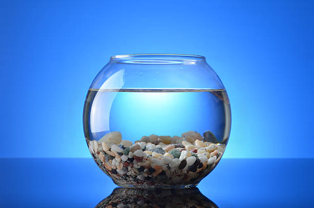 Empty Fish Tank stock photo