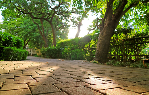 Empty garden's stone block pathway in the sunlight