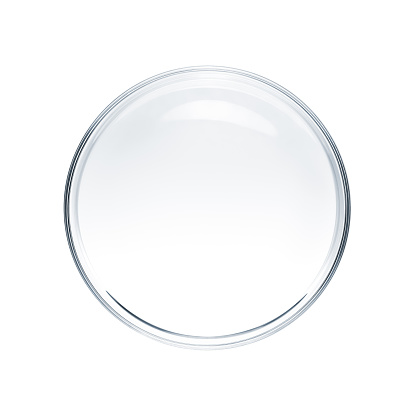 Empty petri dish isolated on white background - flat lay