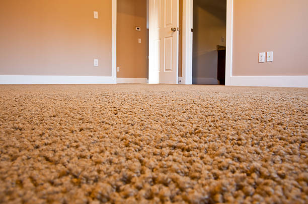 Empty room with brown carpet and walls and two doorways stock photo