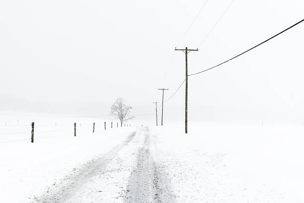 Empty, Rural Road during Snowstorm Tire tracks on snow covered, country road during blizzard. telephone pole photos stock pictures, royalty-free photos & images