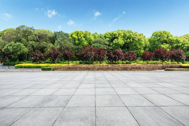Empty square floor and green forest nature landscape Empty city square floor and green forest nature landscape sidewalk stock pictures, royalty-free photos & images