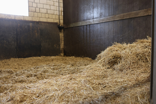 Empty stall in the stable with hay. Horse keeping concept