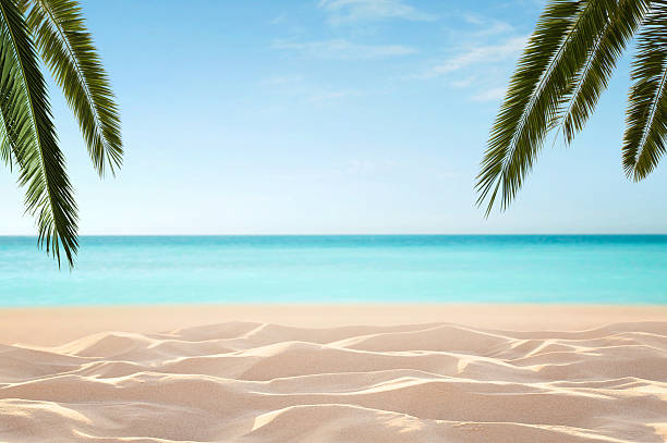 Empty tropical beach stock photo
