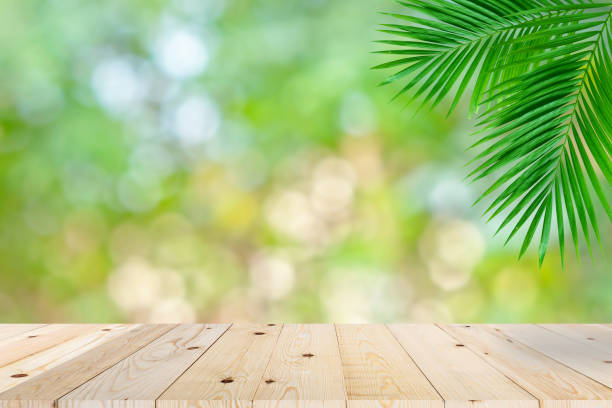 Empty wooden table top and green bokeh palm leaf stock photo