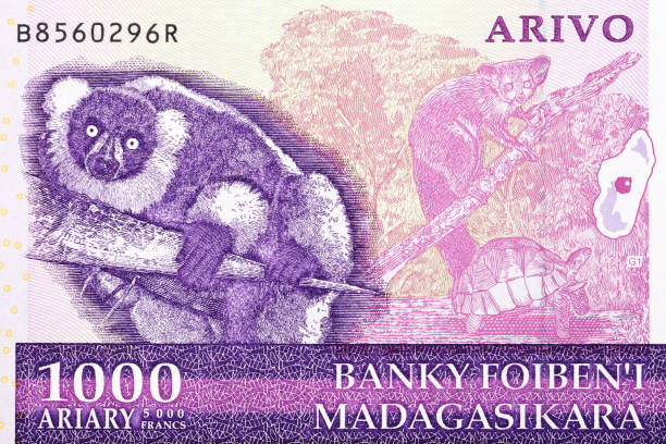 Endemic animals from old Malagasy money stock photo