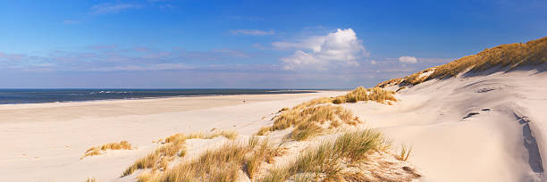 endless beach on the island of terschelling in the netherlands - nederland strand stockfoto's en -beelden