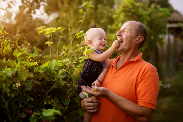 eindeloze liefde. foto van opa en kleinzoon in mooie tuin. kleinzoon is het voeden van zijn grootvader met druivenmost. - pensioen nederland stockfoto's en -beelden