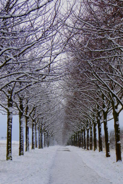 endless path in snow stock photo
