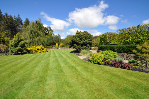 a beautiful English country garden, a beautiful lawn edged by colourful boarders.