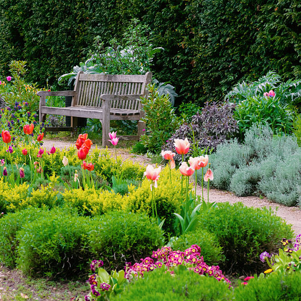 English garden with walk path leading empty bench square composition English garden with a walk path leading to empty bench square composition gardening photos stock pictures, royalty-free photos & images