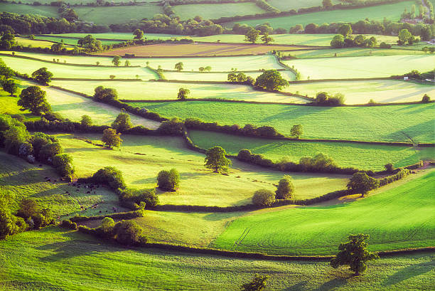 English Patchwork Field Background Aerial view of summer fields divided by traditional hedges in Somerset, England. somerset england stock pictures, royalty-free photos & images