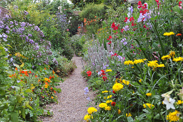 English Walled Garden A beautiful English Walled Garden in AugustUK perennial stock pictures, royalty-free photos & images