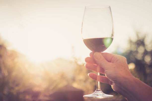 Enjoying a glass of vine in the evening. Glass holding in hand. stock photo