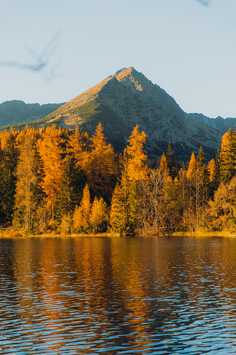 Scenic view of the reflection mountain lake surrounded by the colorful autumn forest and mountain peaks in the High Tatras, Slovakia