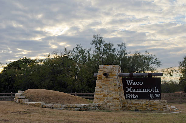 Entrance Sign to Waco Mammoth Site Waco, United States - November 30, 2013: Entrance Sign to Waco Mammoth Site - Twenty two Columbian Mammoth skeletons were found near Waco, Texas.  The excavation began in 1978 when two men hunting arrowheads near the Bosque River came across a protuding bone.  The area now houses a covered dig site, where remains of a camel and a saber toothed cat were also found, and it is used in conjunction with Baylor University as an educational classroom for students interested in paleontology. baylor basketball stock pictures, royalty-free photos & images
