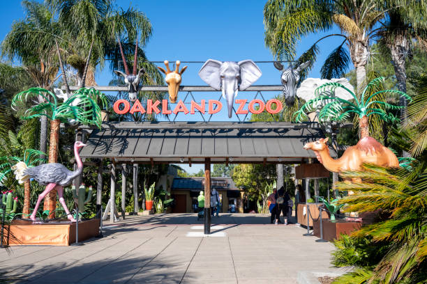 Entrance to the Oakland Zoo on a sunny day, with animal representations and plants decorating the walkway. stock photo