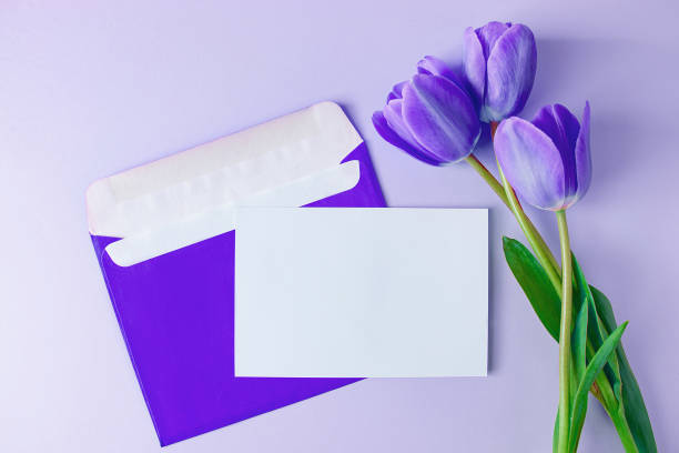 Envelope with invitation to holiday and  bouquet of tulips on purple background. Trendy color of the year 2022. stock photo