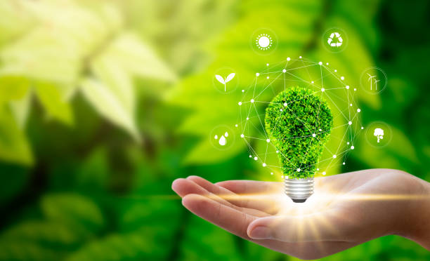 Environment concept Hand holding light bulb against nature on green leaf with icons energy sources for renewable, sustainable development. Technology ,Environment ,Ecology concept. sustainable energy photos stock pictures, royalty-free photos & images