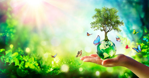 Environment - Tree Growth On Planet In Green Forest With Butterflies stock photo