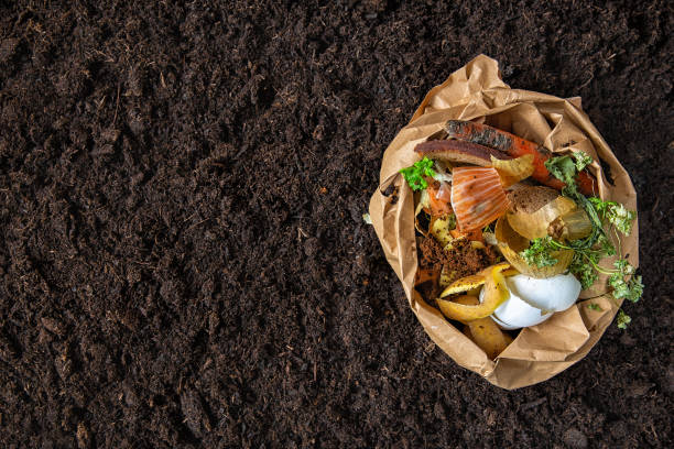 contrôle de l’environnement. tri des déchets alimentaires dans les packages de l’environnementales. - compost photos et images de collection