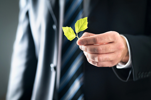 Environmental Lawyer Or Politician With Nature And Environment Friendly Values Business Man In Suit Holding Green Leafs Sustainable Development Climate Change Global Warming Stock Photo - Download Image Now - iStock