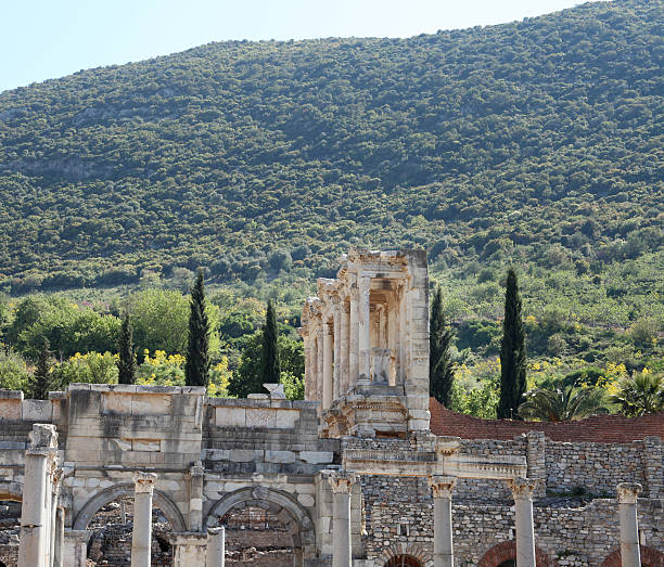 https www istockphoto com tr foto c4 9fraflar artemis tap c4 b1na c4 9f c4 b1 efes