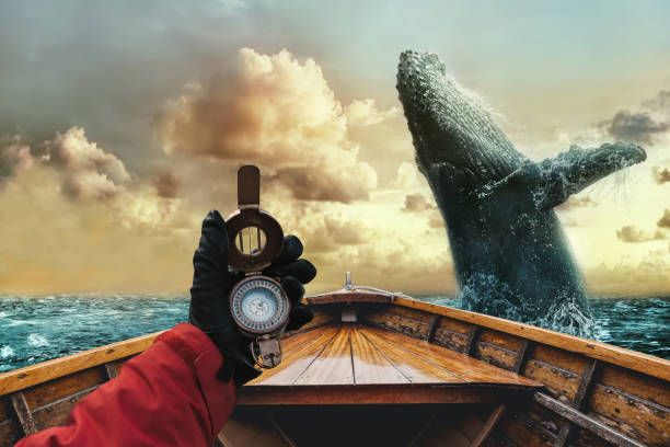 epische szene von buckelwal springt aus dem wasser vor einem boot. matrose hält einen kompass in der hand. abenteuerreisekonzept. - zirkel fotos stock-fotos und bilder