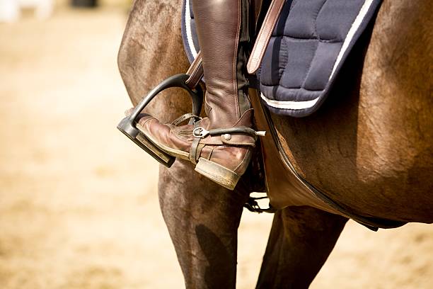 Equestrian Sports stock photo