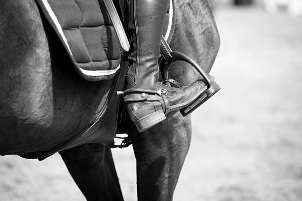 Equestrian Sports stock photo
