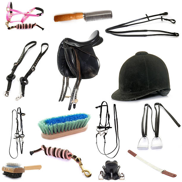 equipments of horse riding equipments of horse riding in front of white background stirrup stock pictures, royalty-free photos & images