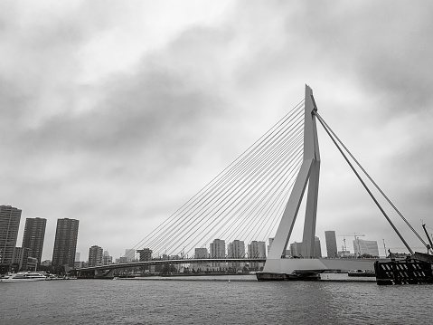 Erasmus bridge over the river Meuse in Rotterdam in black and white