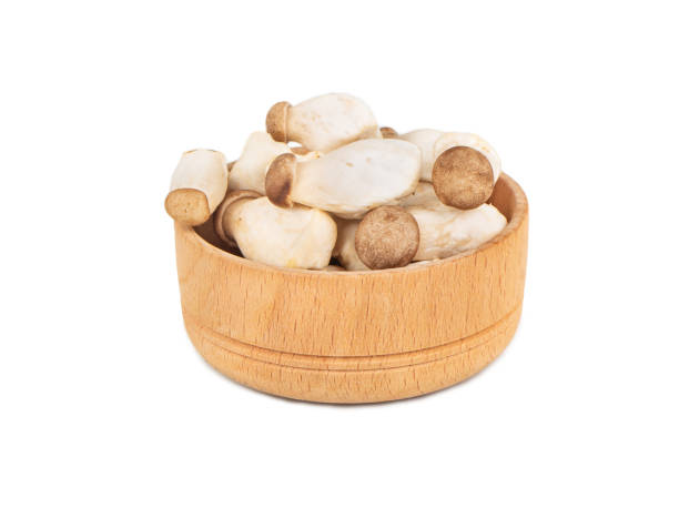 eringi mushrooms in a bowl - mushrrom bildbanksfoton och bilder