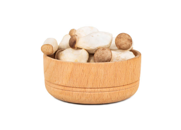 eringi mushrooms in bowl - mushrrom bildbanksfoton och bilder