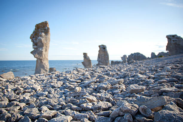 eroded limestone stacks at the island of faro in sweden - gotland bildbanksfoton och bilder