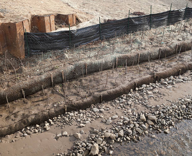Erosion Control Erosion control measures using burlap, plastic fencing, steel beams, wood stakes and new plantings. erosion control stock pictures, royalty-free photos & images