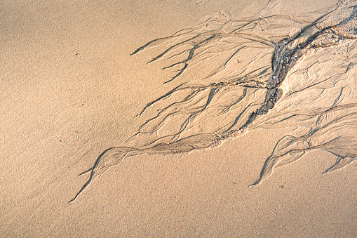 Erosion pattarn on the sand at the ocean beach, long Island, New York State, USA