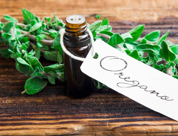 Essential oil bottle of oregano herb with fresh oregano leaves stock photo